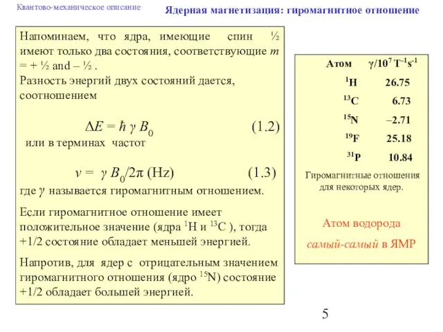 Ядерная магнетизация: гиромагнитное отношение Напоминаем, что ядра, имеющие спин ½ имеют