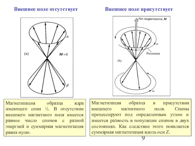 Магнетизация образца ядра имеющего спин ½. В отсутствии внешнего магнитного поля