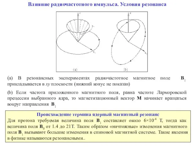 Влияние радиочастотного импульса. Условия резонанса (a) В резонансных экспериментах радиочастотное магнитное