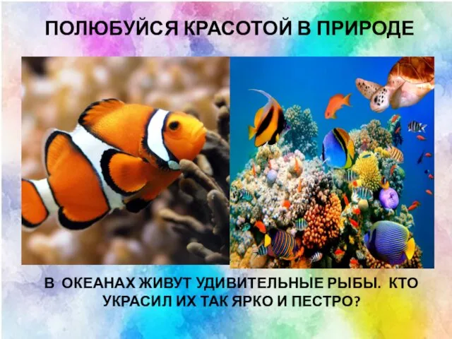 ПОЛЮБУЙСЯ КРАСОТОЙ В ПРИРОДЕ В ОКЕАНАХ ЖИВУТ УДИВИТЕЛЬНЫЕ РЫБЫ. КТО УКРАСИЛ ИХ ТАК ЯРКО И ПЕСТРО?