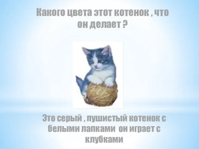 Какого цвета этот котенок , что он делает ? Это серый