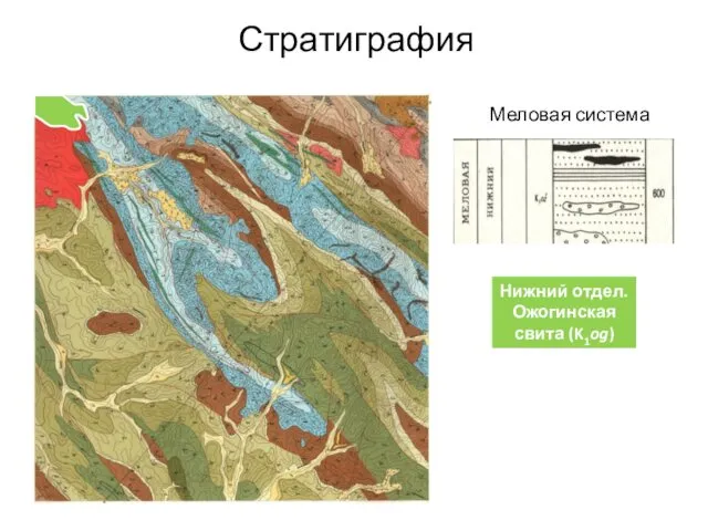 Стратиграфия Меловая система Нижний отдел. Ожогинская свита (K1og)