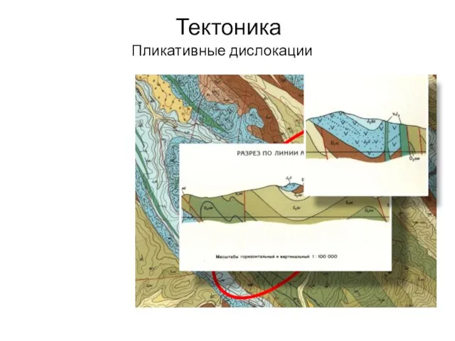 Тектоника Пликативные дислокации