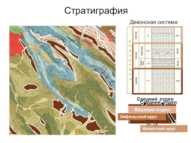 Стратиграфия Девонская система Нижний отдел. Нелюдимская свита (D1nl) Средний отдел Эйфельский