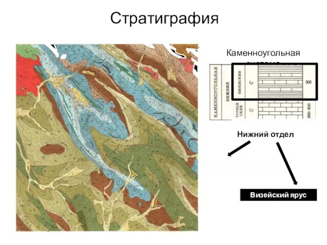 Стратиграфия Каменноугольная система Нижний отдел Турнейский ярус (C1t) Визейский ярус (C1v)