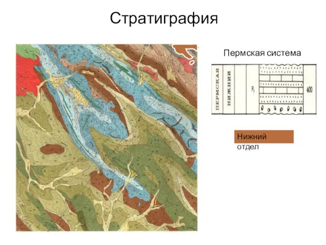 Стратиграфия Пермская система Нижний отдел