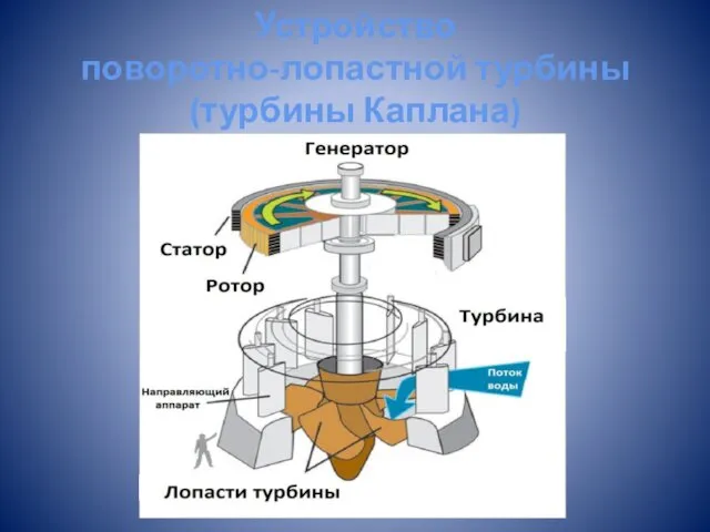 Устройство поворотно-лопастной турбины (турбины Каплана)