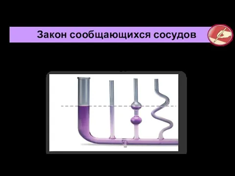 В сообщающихся сосудах любой формы и сечения поверхности однородной жидкости устанавливаются