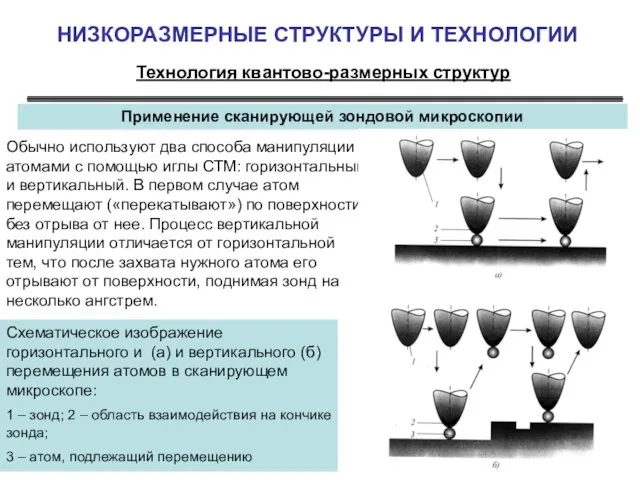 НИЗКОРАЗМЕРНЫЕ СТРУКТУРЫ И ТЕХНОЛОГИИ Технология квантово-размерных структур Применение сканирующей зондовой микроскопии