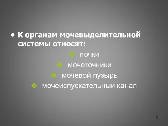 К органам мочевыделительной системы относят: почки мочеточники мочевой пузырь мочеиспускательный канал