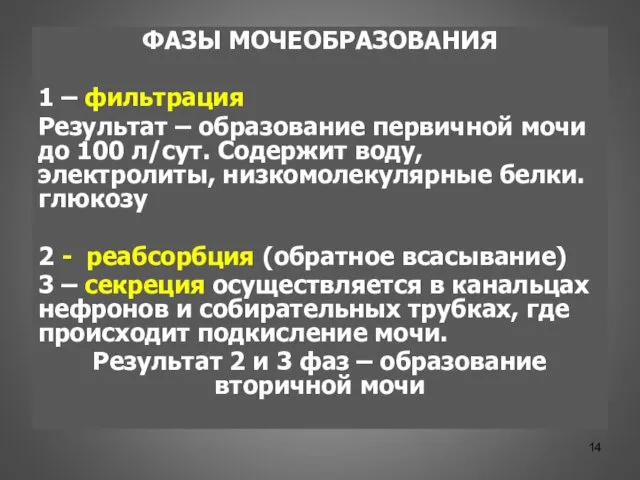 ФАЗЫ МОЧЕОБРАЗОВАНИЯ 1 – фильтрация Результат – образование первичной мочи до