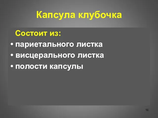 Капсула клубочка Состоит из: париетального листка висцерального листка полости капсулы