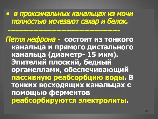 в проксимальных канальцах из мочи полностью исчезают сахар и белок. --------------------------------------------