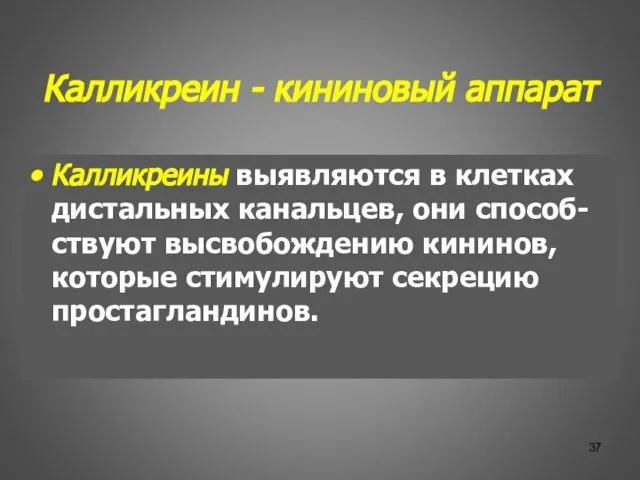 Калликреин - кининовый аппарат Калликреины выявляются в клетках дистальных канальцев, они