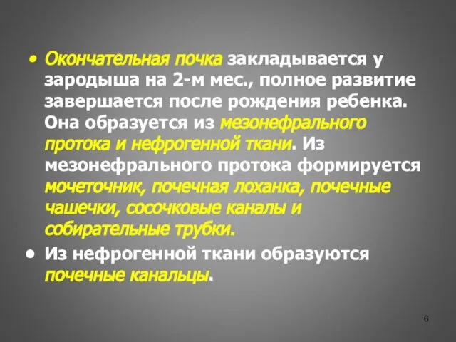 Окончательная почка закладывается у зародыша на 2-м мес., полное развитие завершается