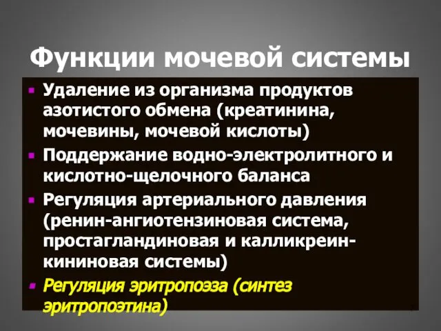 Функции мочевой системы Удаление из организма продуктов азотистого обмена (креатинина, мочевины,