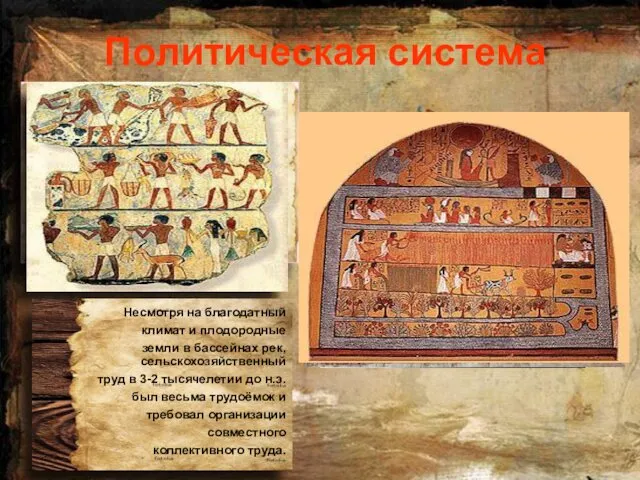 Политическая система