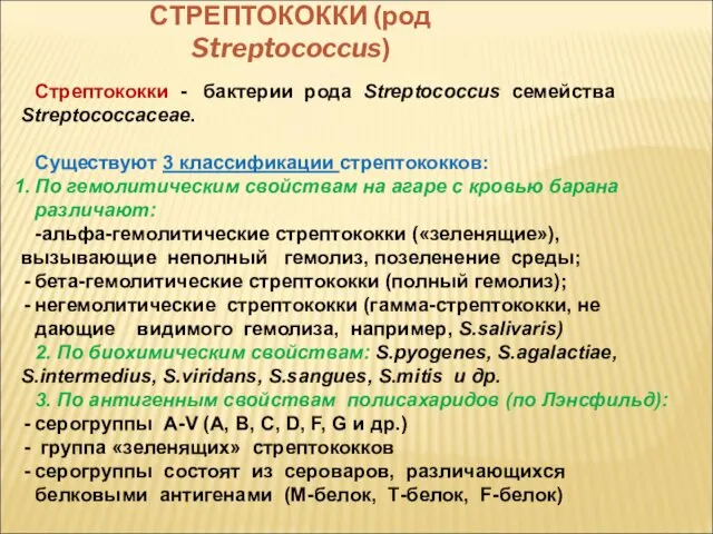 СТРЕПТОКОККИ (род Streptococcus) Стрептококки - бактерии рода Streptococcus семейства Streptococcaceae. Существуют