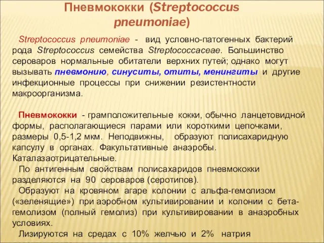 Пневмококки (Streptococcus pneumoniae) Streptococcus pneumoniae - вид условно-патогенных бактерий рода Streptococcus