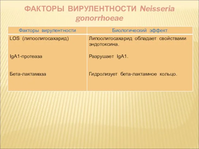 ФАКТОРЫ ВИРУЛЕНТНОСТИ Neisseria gonorrhoeae