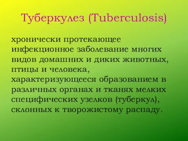 Туберкулез (Tuberculosis) хронически протекающее инфекционное заболевание многих видов домашних и диких