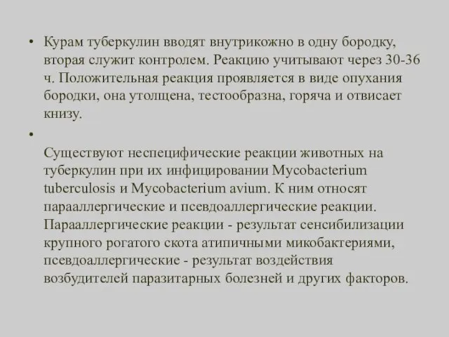 Курам туберкулин вводят внутрикожно в одну бородку, вторая служит контролем. Реакцию