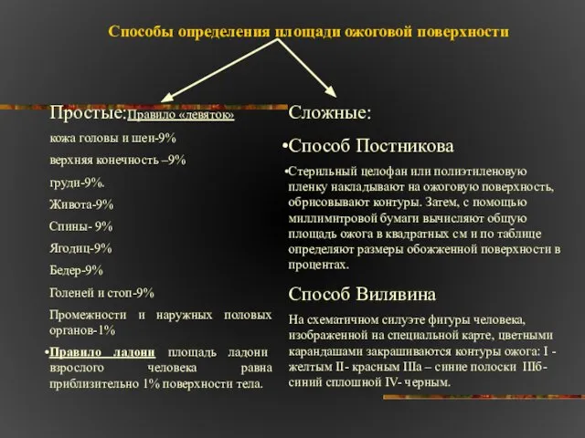 Способы определения площади ожоговой поверхности Простые:Правило «девяток» кожа головы и шеи-9%