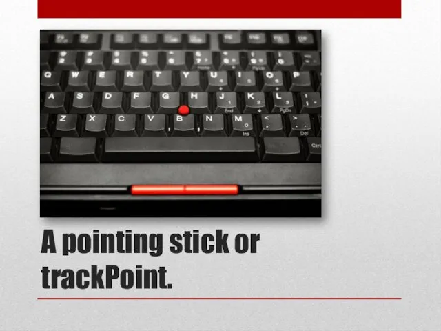 A pointing stick or trackPoint.