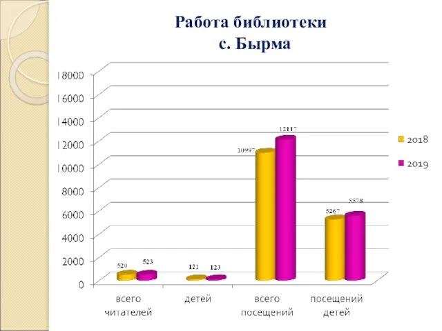 Работа библиотеки с. Бырма