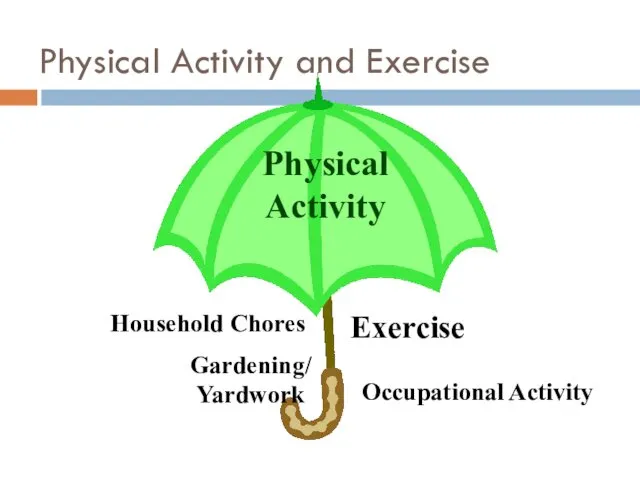 Physical Activity and Exercise Physical Activity Exercise Household Chores Occupational Activity Gardening/Yardwork