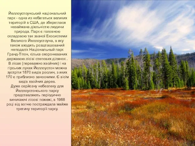 Йеллоустоунський національний парк - одна из небагатьох великих територій в США,