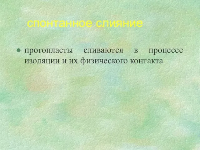 спонтанное слияние протопласты сливаются в процессе изоляции и их физического контакта