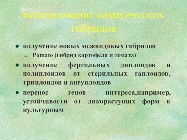 использование соматических гибридов получение новых межвидовых гибридов Pomato (гибрид картофеля и