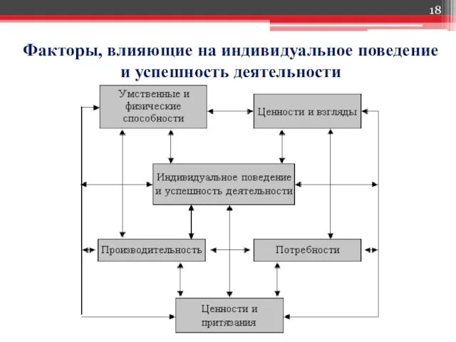 Факторы, влияющие на индивидуальное поведение и успешность деятельности