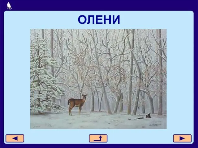 ОЛЕНИ