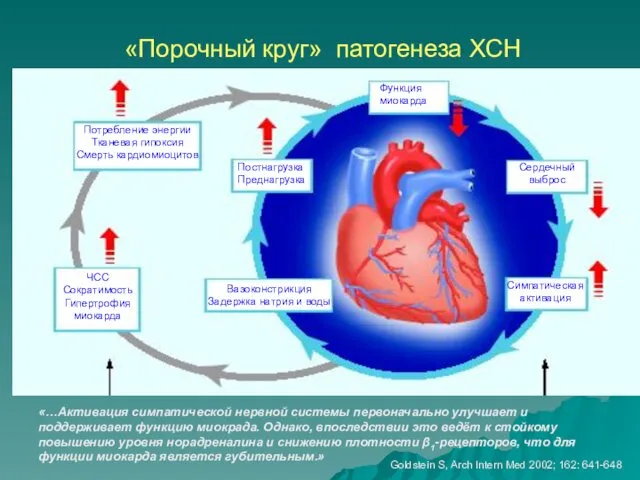 «Порочный круг» патогенеза ХСН «…Активация симпатической нервной системы первоначально улучшает и