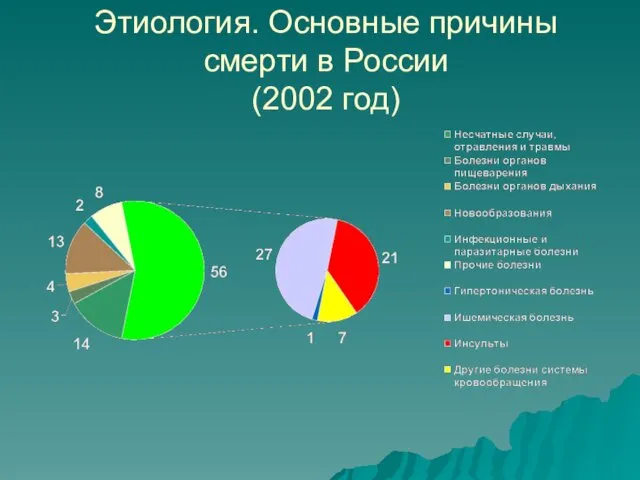Этиология. Основные причины смерти в России (2002 год)
