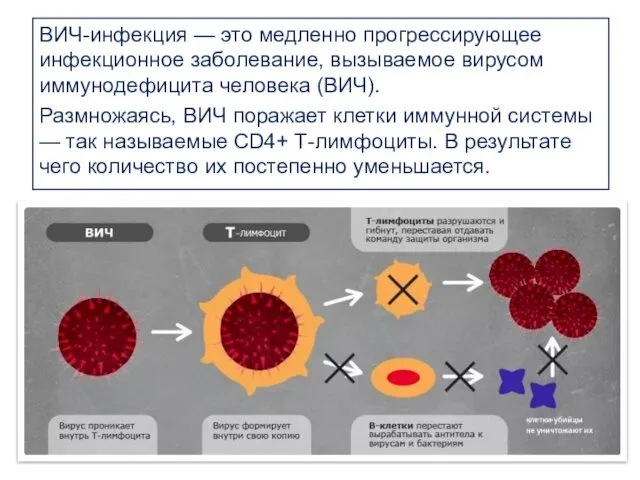 ВИЧ-инфекция — это медленно прогрессирующее инфекционное заболевание, вызываемое вирусом иммунодефицита человека