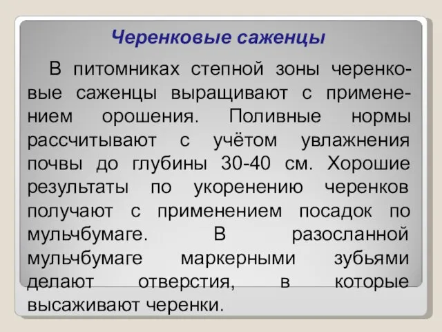 Черенковые саженцы В питомниках степной зоны черенко-вые саженцы выращивают с примене-нием