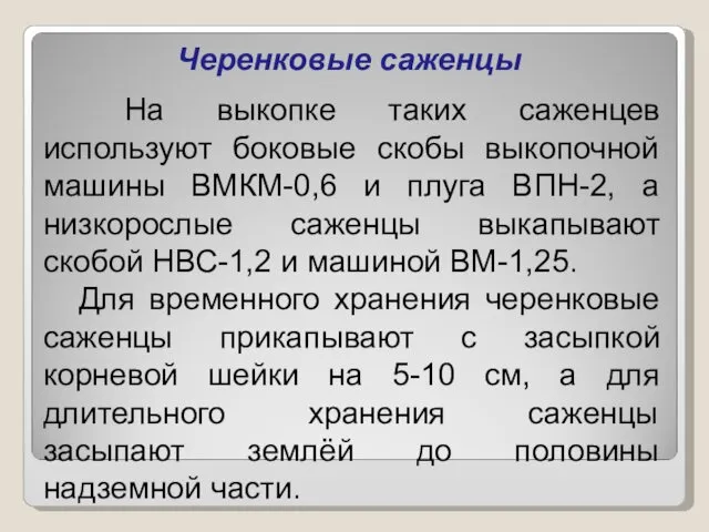 Черенковые саженцы На выкопке таких саженцев используют боковые скобы выкопочной машины