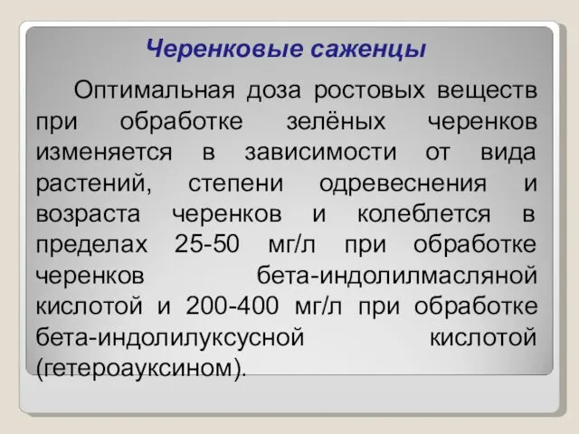 Черенковые саженцы Оптимальная доза ростовых веществ при обработке зелёных черенков изменяется