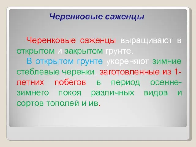 Черенковые саженцы Черенковые саженцы выращивают в открытом и закрытом грунте. В