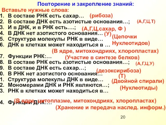 Повторение и закрепление знаний: Вставьте нужные слова: В составе РНК есть