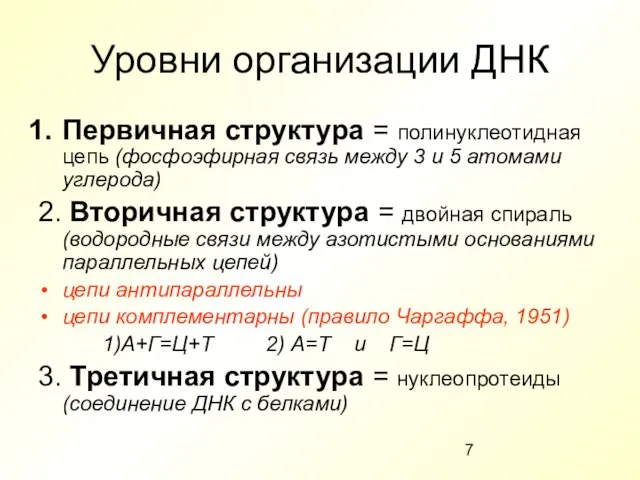 Уровни организации ДНК Первичная структура = полинуклеотидная цепь (фосфоэфирная связь между