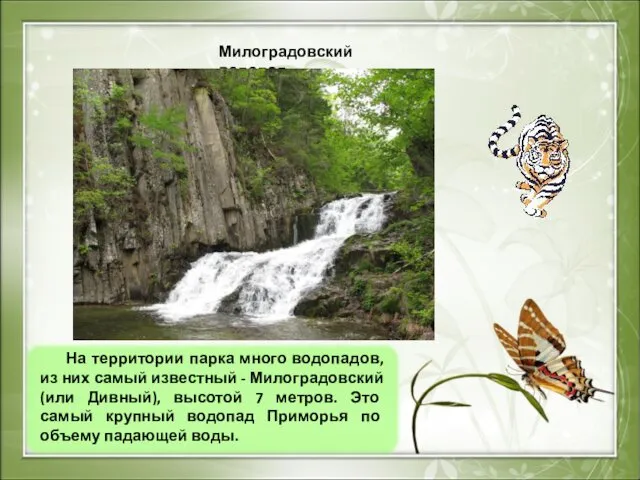 Милоградовский водопад. На территории парка много водопадов, из них самый известный