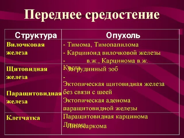 Переднее средостение