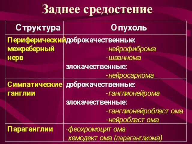 Заднее средостение