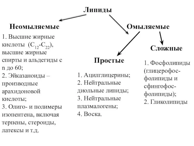 Липиды Неомыляемые Омыляемые 1. Высшие жирные кислоты (С12-С22), высшие жирные спирты