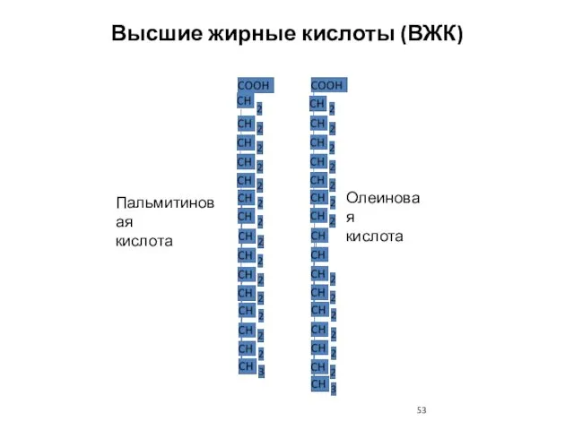 Высшие жирные кислоты (ВЖК) Пальмитиновая кислота Олеиновая кислота