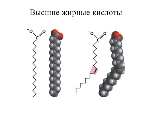 Высшие жирные кислоты